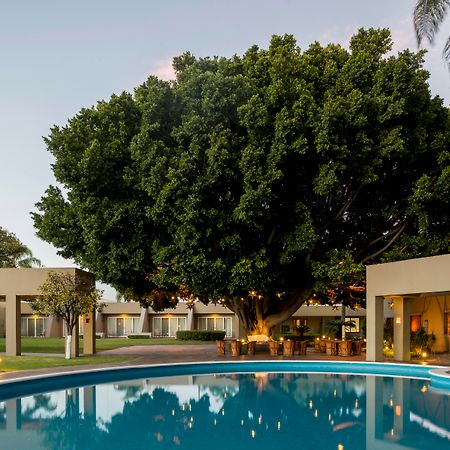 Hotel Camino Real Guadalajara Zapopan Exteriér fotografie The Banyan Resort