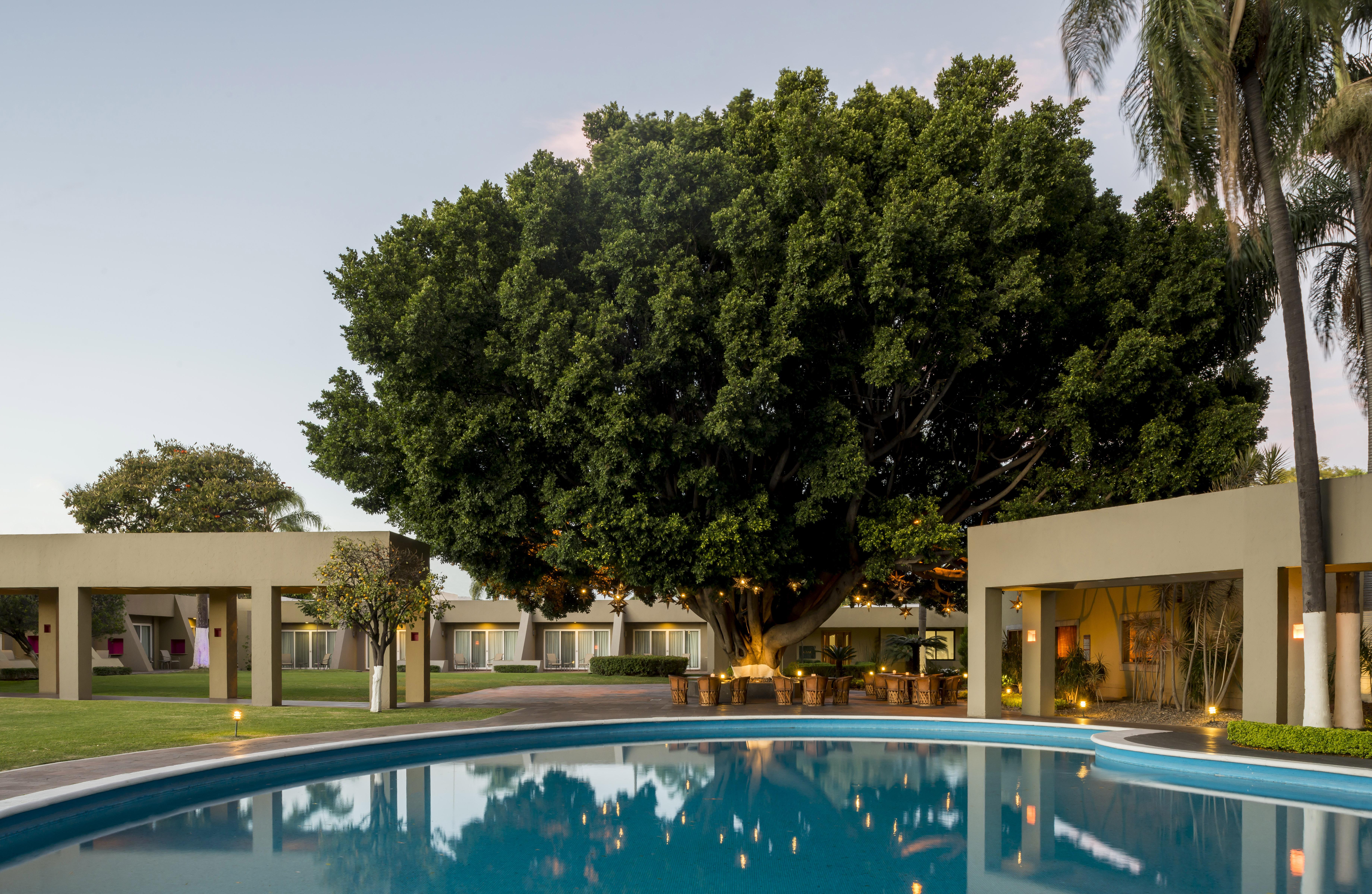 Hotel Camino Real Guadalajara Zapopan Exteriér fotografie The Banyan Resort